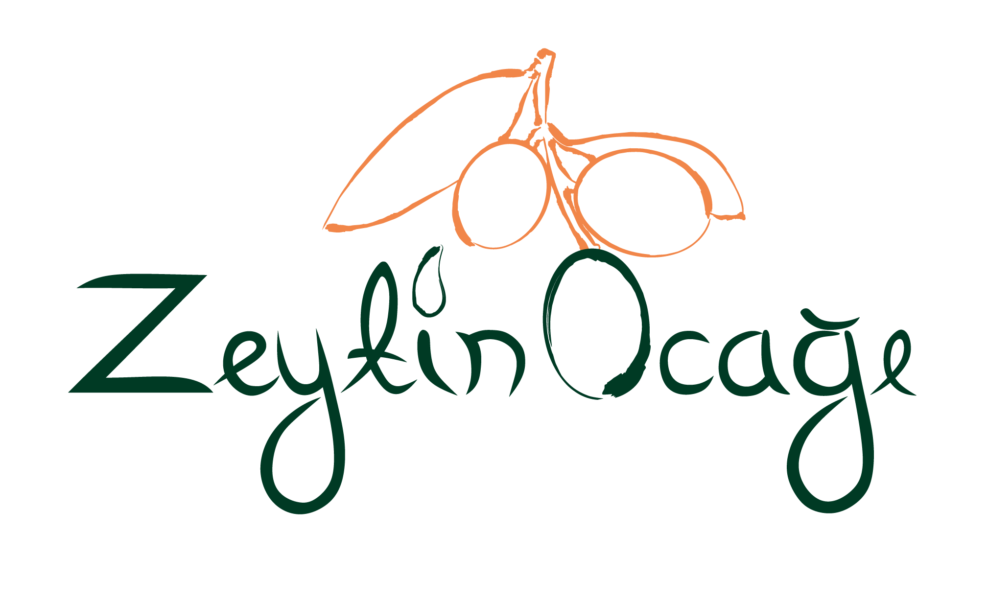 Zeytin Ocağı